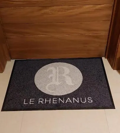 Le Rhenanus Jean Geiler De Kaysersberg - Ideal Pour Famille, Au Calme - Centre - Parking Gratuit Appartement Sélestat