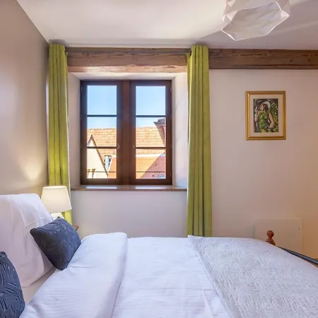 Le Rhenanus Jean Geiler De Kaysersberg - Ideal Pour Famille, Au Calme - Centre - Parking Gratuit 塞莱斯塔