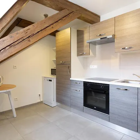 Le Rhenanus: Family-friendly In Quiet Center With Free Parking Apartment *