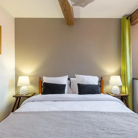 公寓 Le Rhenanus Jean Geiler De Kaysersberg - Ideal Pour Famille, Au Calme - Centre - Parking Gratuit 塞莱斯塔