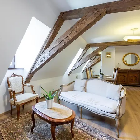 公寓 Le Rhenanus Jean Geiler De Kaysersberg - Ideal Pour Famille, Au Calme - Centre - Parking Gratuit 塞莱斯塔