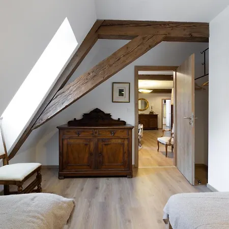 Le Rhenanus: Family-friendly In Quiet Center With Free Parking Selestat