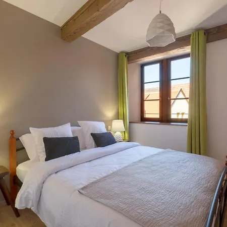 Jean Geiler De Kaysersberg - Parking Gratuit - Proche Europa-park - Route Des Vins - Haut-koenigsbourg Апартаменты