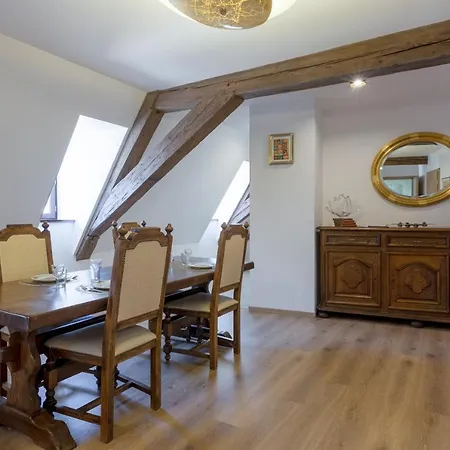 LE RHENANUS Jean Geiler de Kaysersberg - appartement idéal pour famille, au calme - centre ville - parking gratuit *