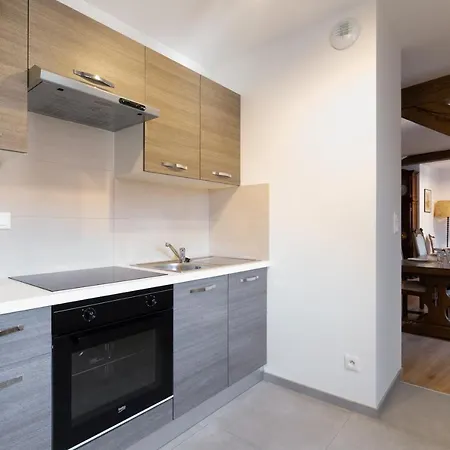 公寓 Le Rhenanus Jean Geiler De Kaysersberg - Ideal Pour Famille, Au Calme - Centre - Parking Gratuit
