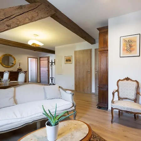 Apartamento LE RHENANUS Jean Geiler de Kaysersberg - appartement idéal pour famille, au calme - centre ville - parking gratuit