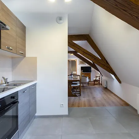 Le Rhenanus Jean Geiler De Kaysersberg - Ideal Pour Famille, Au Calme - Centre - Parking Gratuit