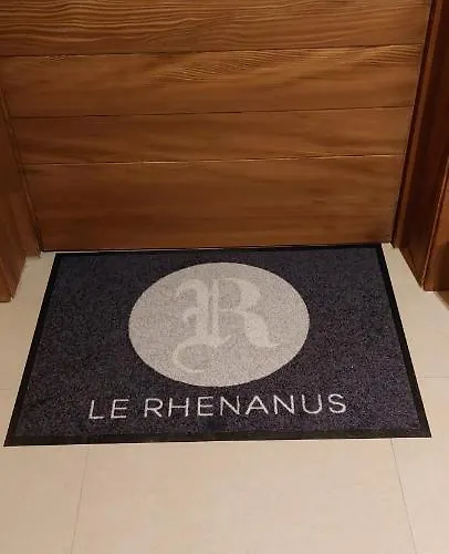 LE RHENANUS Jean Geiler de Kaysersberg - appartement idéal pour famille, au calme - centre ville - parking gratuit Apartamento Sélestat