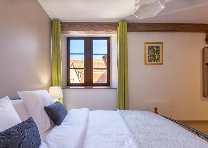 LE RHENANUS Jean Geiler de Kaysersberg - appartement idéal pour famille, au calme - centre ville - parking gratuit Sélestat