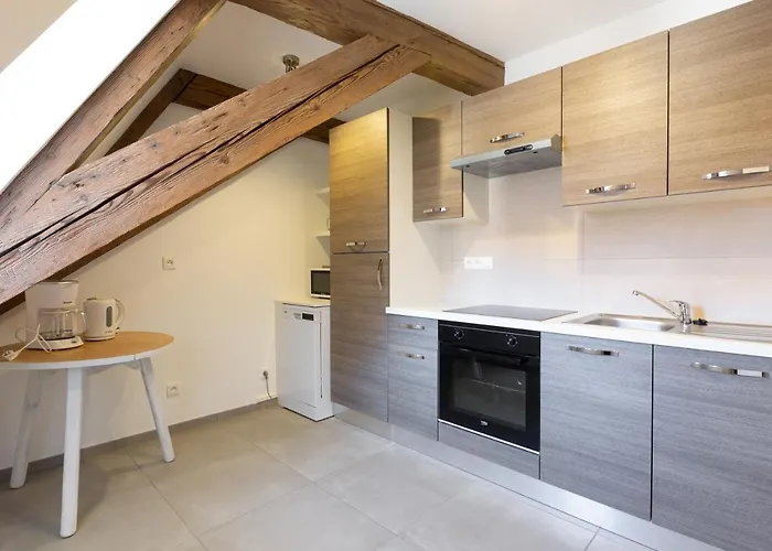 LE RHENANUS Jean Geiler de Kaysersberg - appartement idéal pour famille, au calme - centre ville - parking gratuit Apartamento *