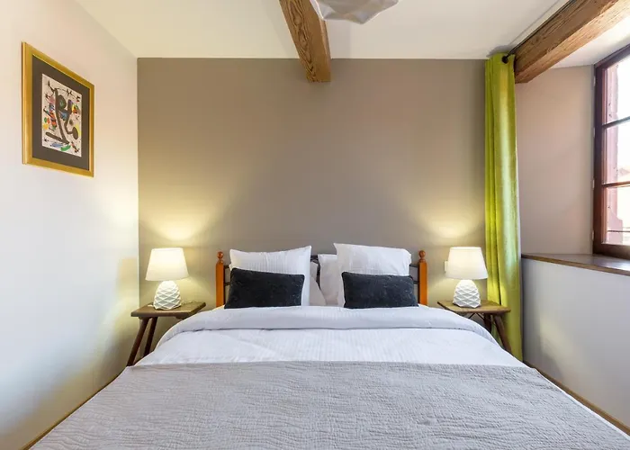 Apartamento LE RHENANUS Jean Geiler de Kaysersberg - appartement idéal pour famille, au calme - centre ville - parking gratuit Sélestat
