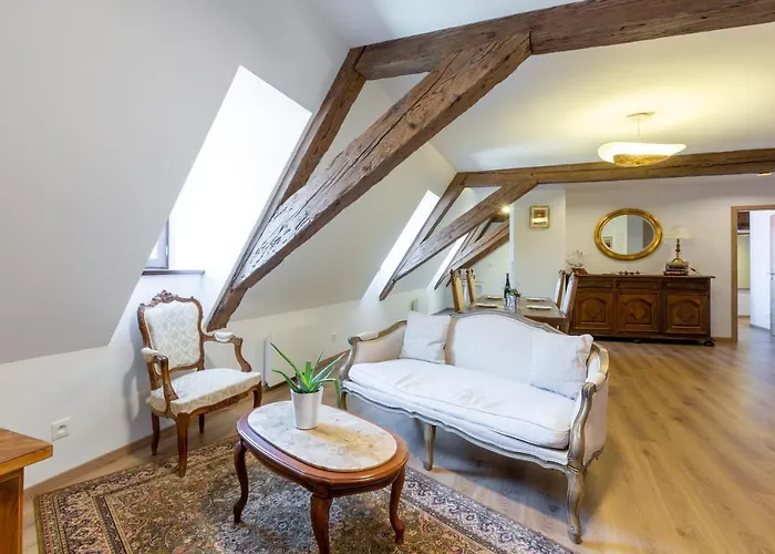 Apartamento LE RHENANUS Jean Geiler de Kaysersberg - appartement idéal pour famille, au calme - centre ville - parking gratuit Sélestat