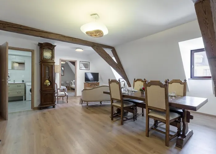 LE RHENANUS Jean Geiler de Kaysersberg - appartement idéal pour famille, au calme - centre ville - parking gratuit * Sélestat
