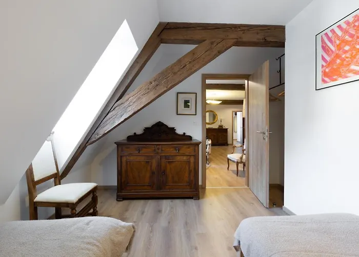 LE RHENANUS Jean Geiler de Kaysersberg - appartement idéal pour famille, au calme - centre ville - parking gratuit Sélestat