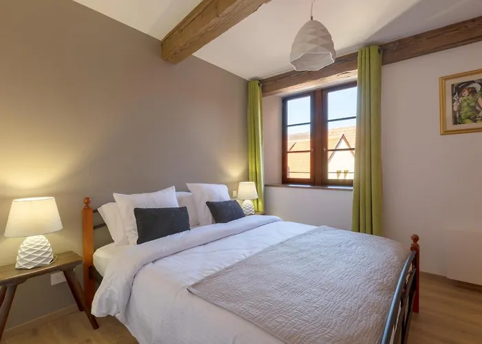 LE RHENANUS Jean Geiler de Kaysersberg - appartement idéal pour famille, au calme - centre ville - parking gratuit Apartamento