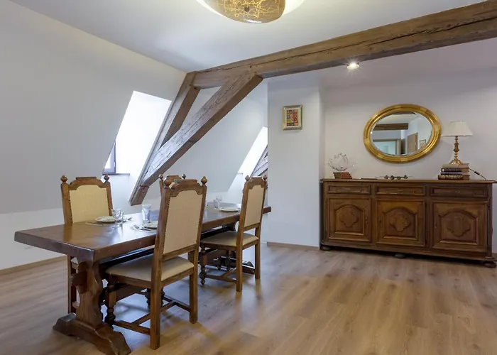 LE RHENANUS Jean Geiler de Kaysersberg - appartement idéal pour famille, au calme - centre ville - parking gratuit *