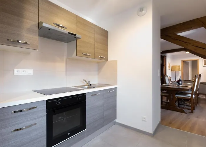 Apartamento LE RHENANUS Jean Geiler de Kaysersberg - appartement idéal pour famille, au calme - centre ville - parking gratuit