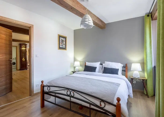 LE RHENANUS Jean Geiler de Kaysersberg - appartement idéal pour famille, au calme - centre ville - parking gratuit Apartamento