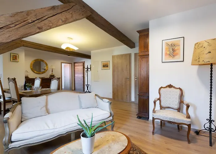 Apartamento LE RHENANUS Jean Geiler de Kaysersberg - appartement idéal pour famille, au calme - centre ville - parking gratuit