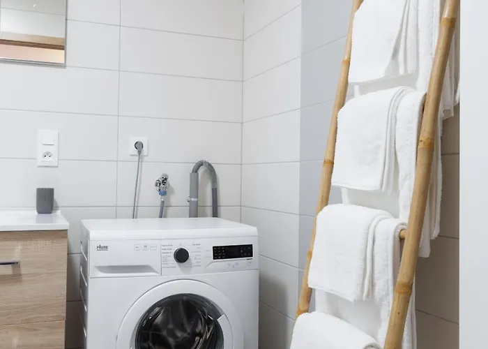 LE RHENANUS Jean Geiler de Kaysersberg - appartement idéal pour famille, au calme - centre ville - parking gratuit Apartamento