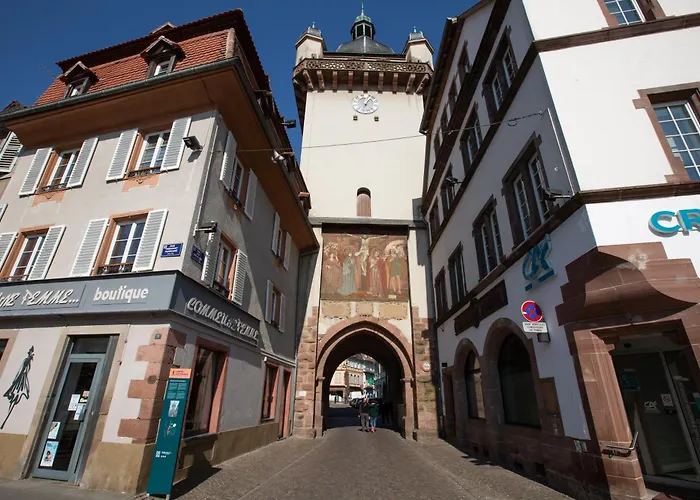 LE RHENANUS Jean Geiler de Kaysersberg - appartement idéal pour famille, au calme - centre ville - parking gratuit * Sélestat