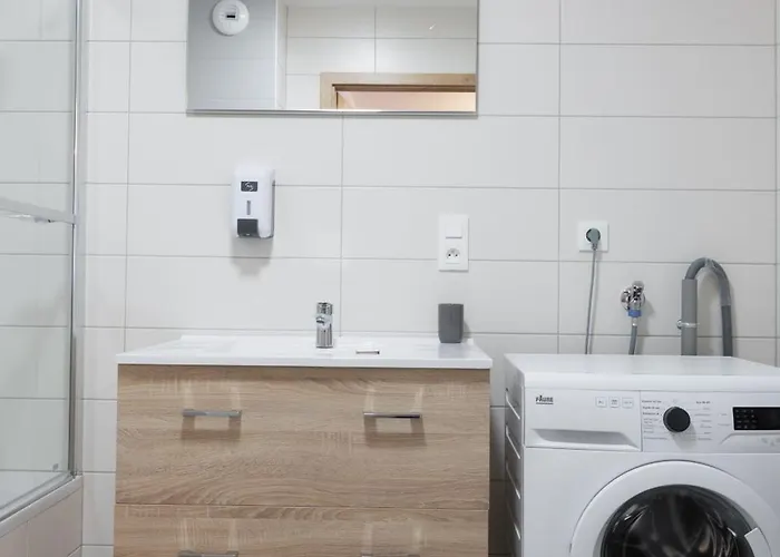 LE RHENANUS Jean Geiler de Kaysersberg - appartement idéal pour famille, au calme - centre ville - parking gratuit Apartamento
