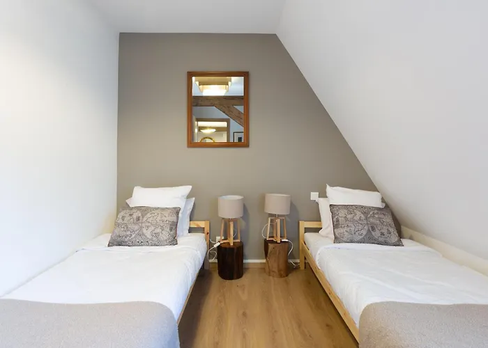 LE RHENANUS Jean Geiler de Kaysersberg - appartement idéal pour famille, au calme - centre ville - parking gratuit Apartamento