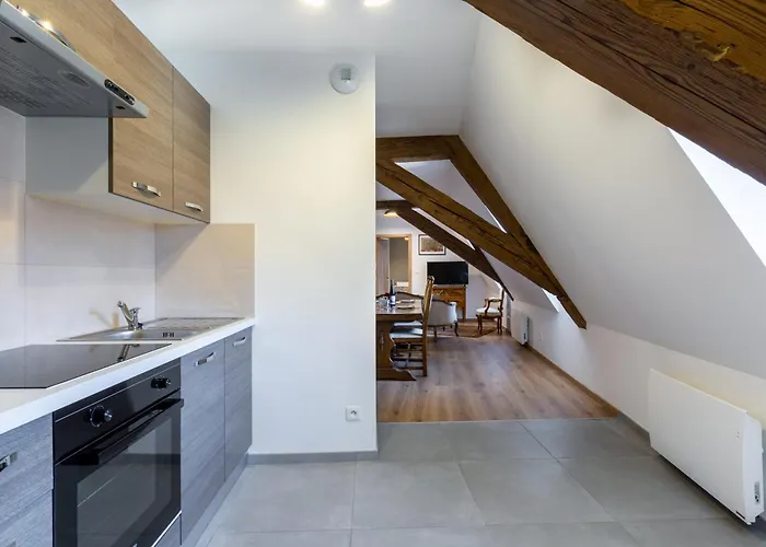 LE RHENANUS Jean Geiler de Kaysersberg - appartement idéal pour famille, au calme - centre ville - parking gratuit